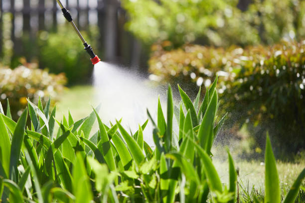 24/7 Emergency Ant Control experts in Hilliard, OH