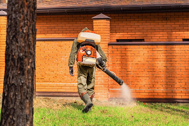 Top rated local Ant Control specialists in Hilliard, OH